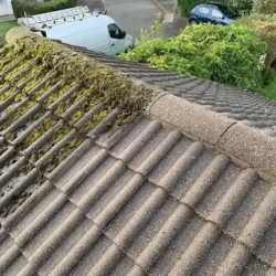Before and after image of moss removal from roof